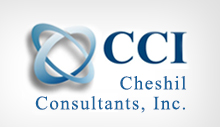 CCI Professional Services,LLC
